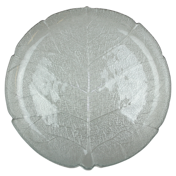 Glass Plate Collection - Image 10