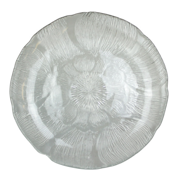 Glass Plate Collection - Image 11