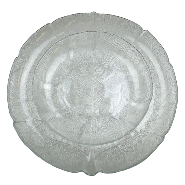 Glass Plate Collection - Image 12