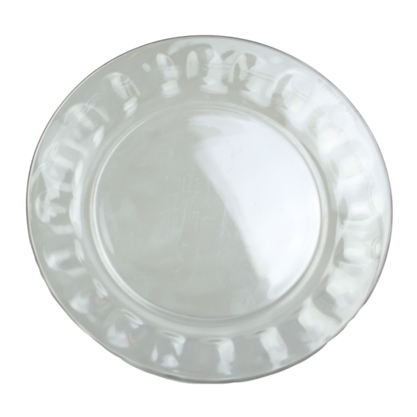 Glass Plate Collection - Image 4